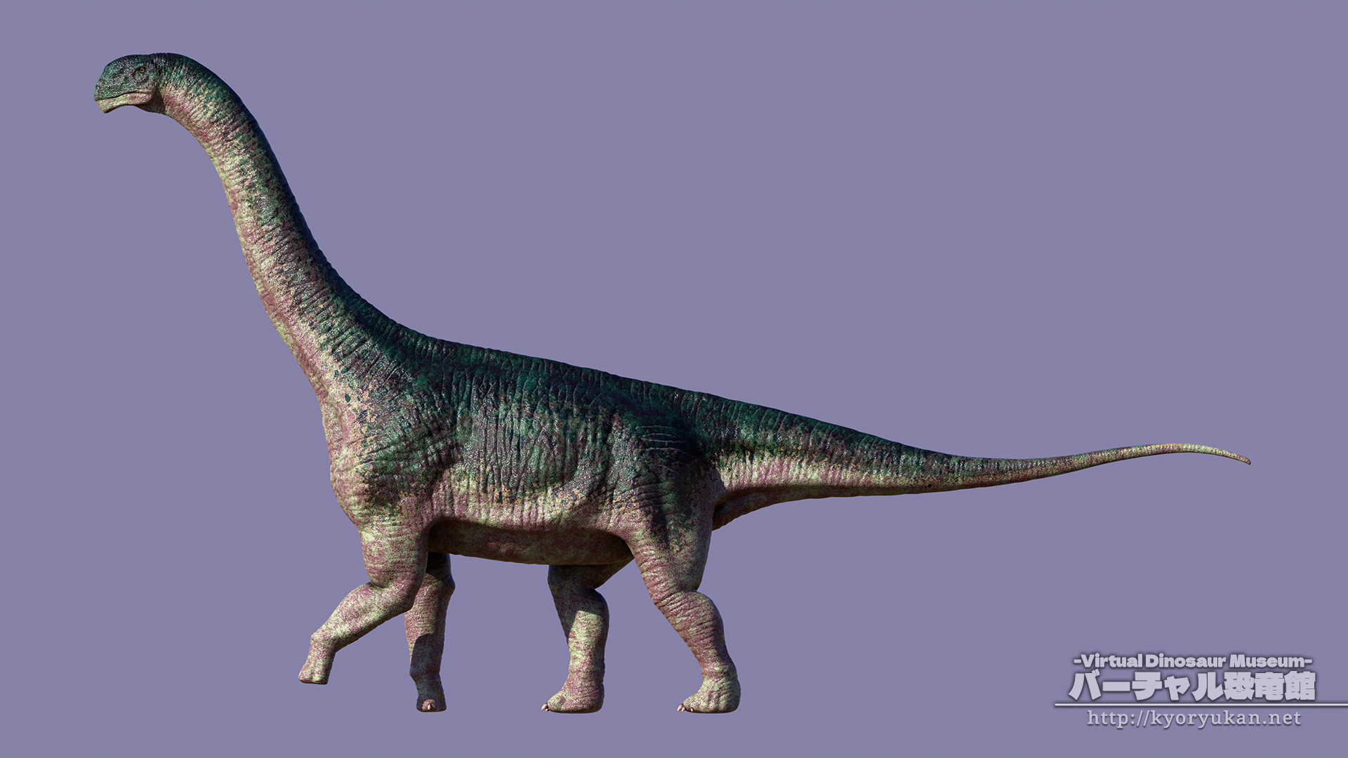 カマラサウルス バーチャル恐竜館