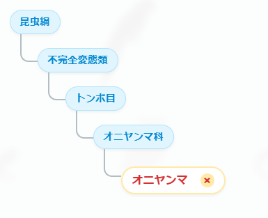 検索の図
