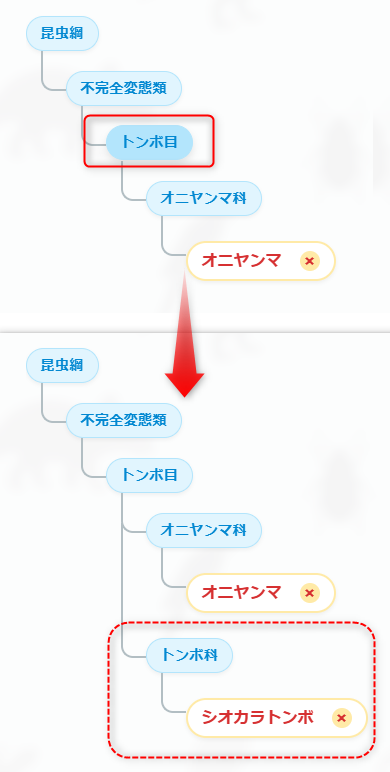ランダム追加の図
